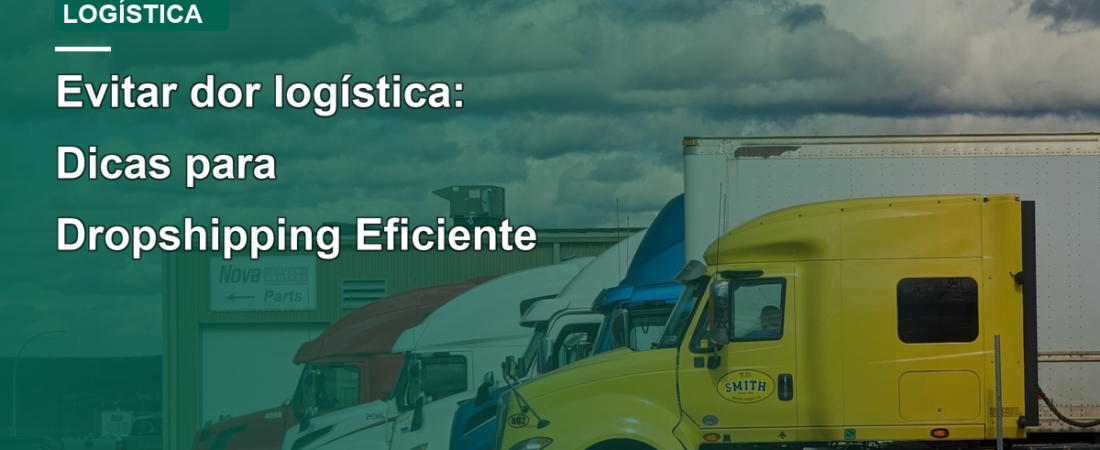 Evitar dor logística: Dicas para Dropshipping Eficiente